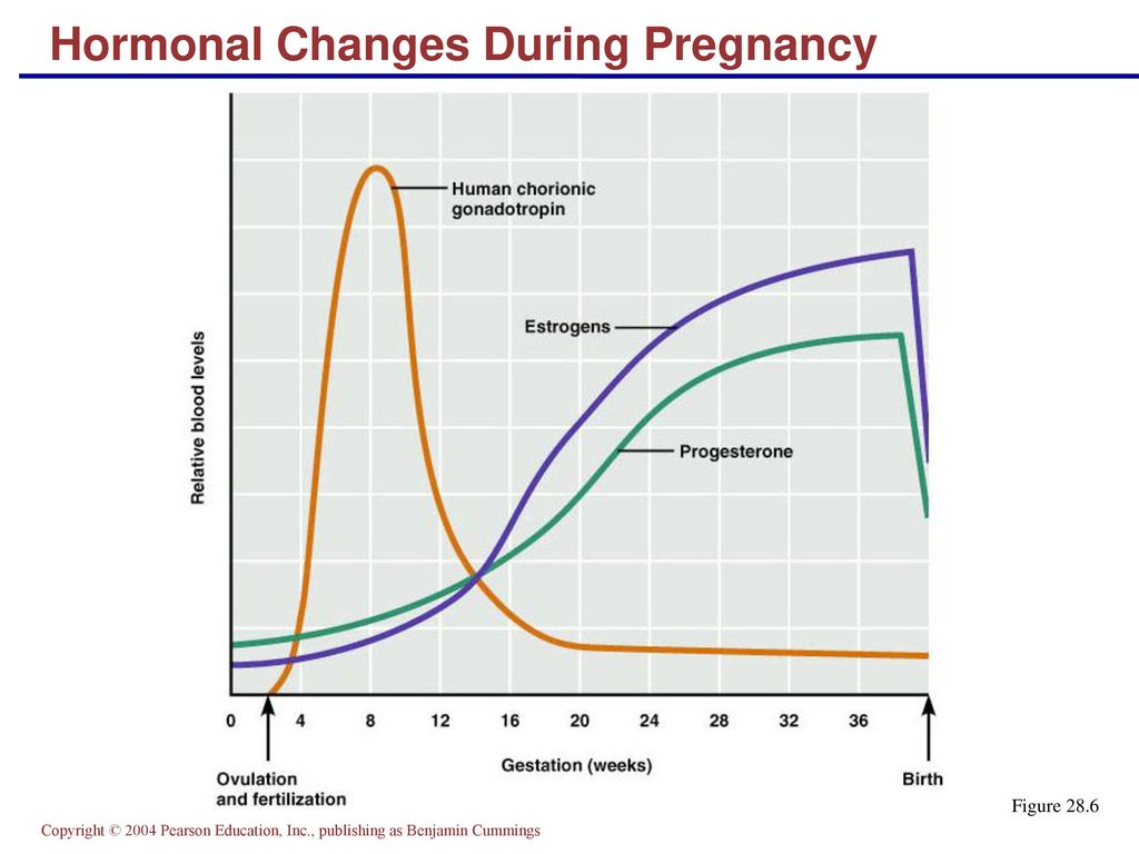 Беременность после гормонального. Гормоны в беременность график. Уровень гормонов у беременных. Беременность гормональный фон. Изменение гормонов при беременности.