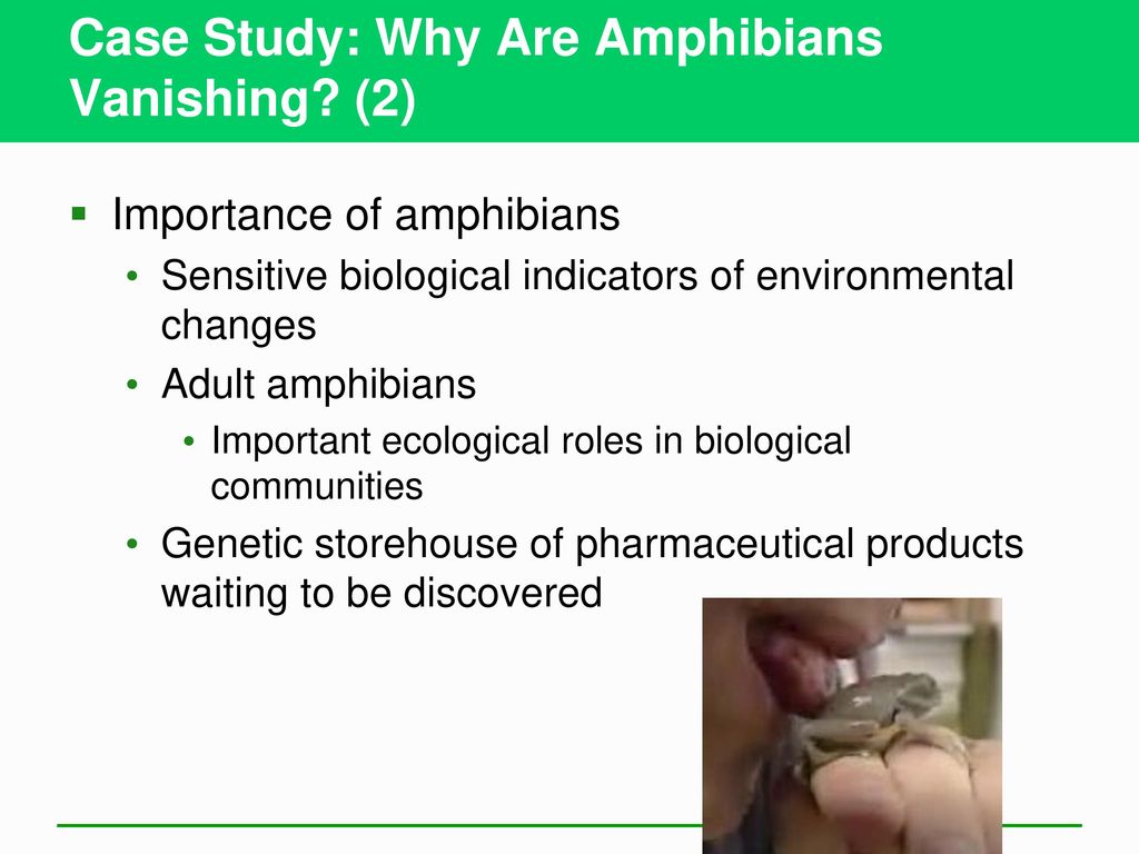 Biodiversity and Evolution - ppt download