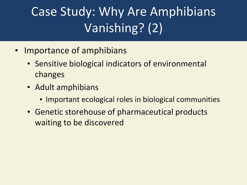 CHAPTER 4 Biodiversity and Evolution - ppt download