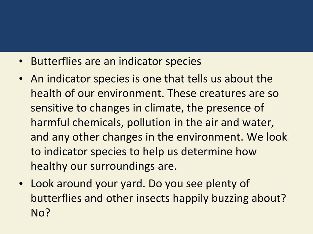 CHAPTER 4 Biodiversity and Evolution - ppt download