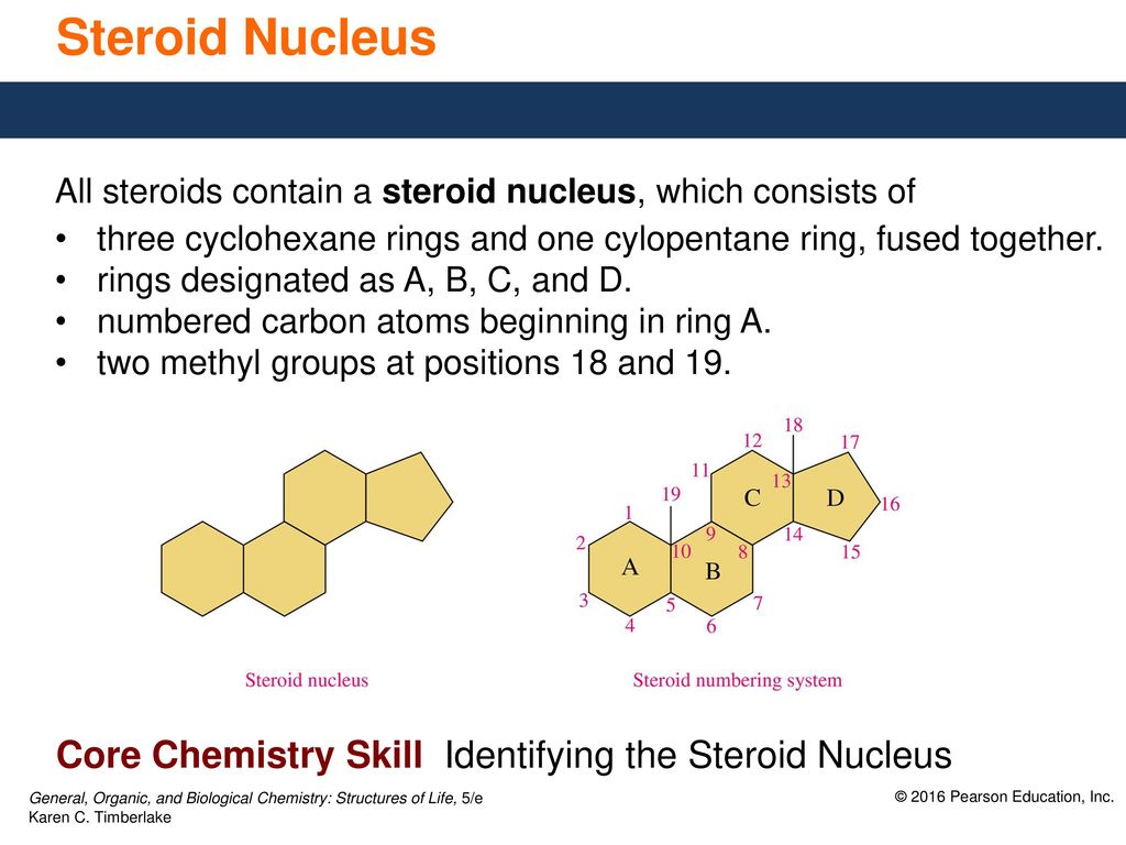 draw the structure for the steroid nucleus lineartdrawingsanime