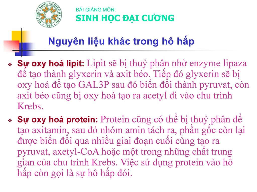 Nguyên liệu khác trong hô hấp