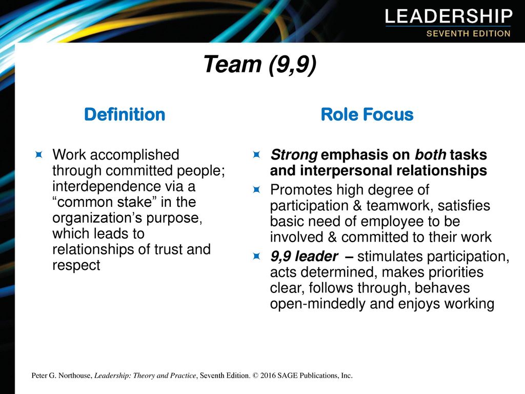 Team (9,9) Definition Role Focus