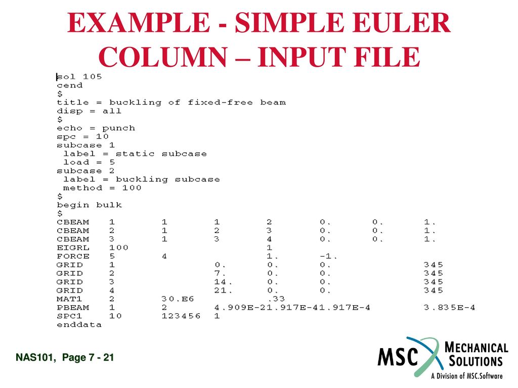 EXAMPLE - SIMPLE EULER COLUMN – INPUT FILE