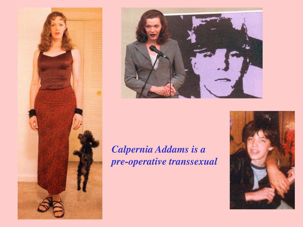 Calpernia Addams is a pre-operative transsexual.