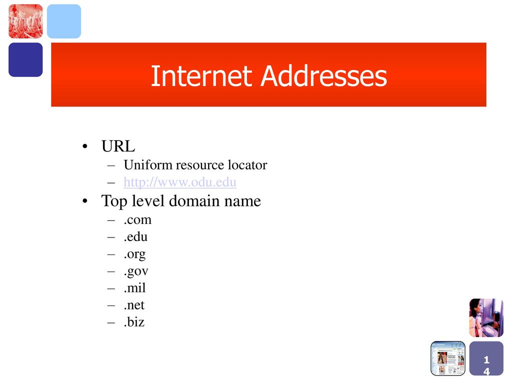 Is internet address. Internet address. Адрес интернет-магазина(URL). Адрес Internet евро-адрес. URL Top Level domain.