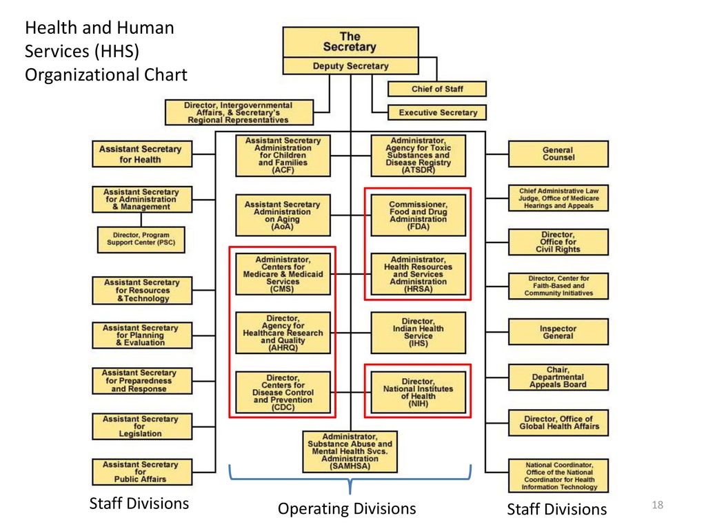 Hhs Org Chart