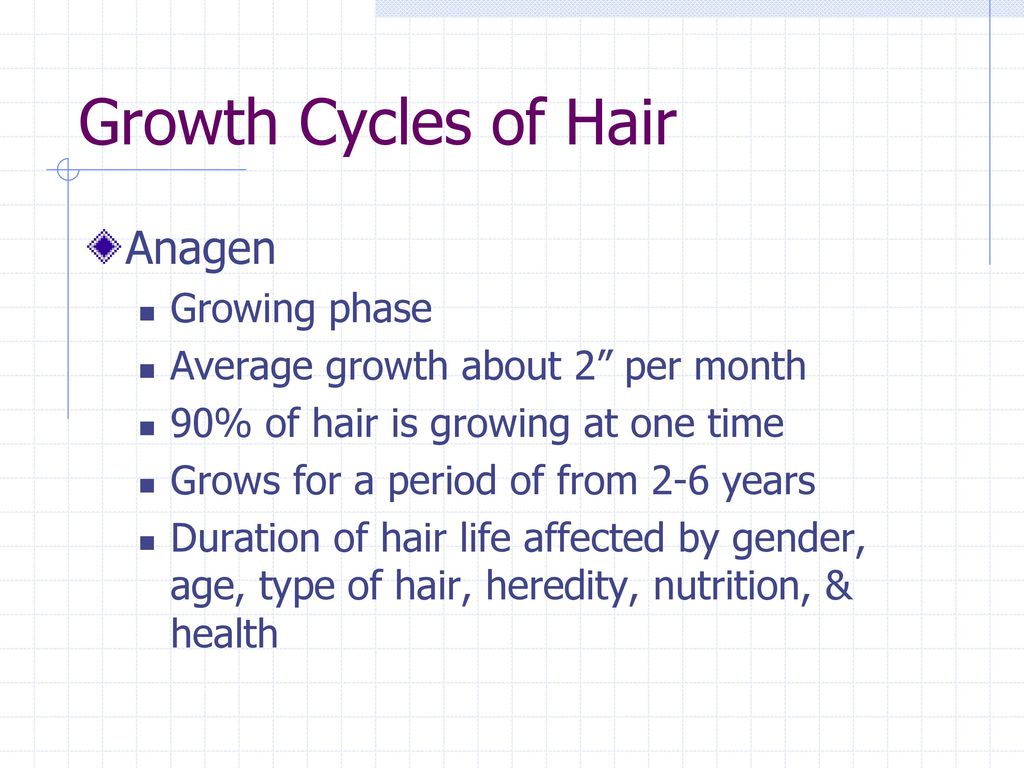 Types of hair Growth cycles of hair Hair growth myths - ppt download