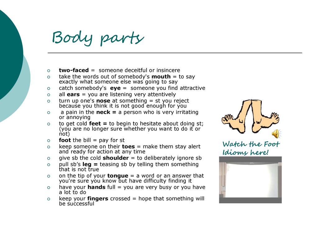 Body parts Watch the Foot Idioms here!