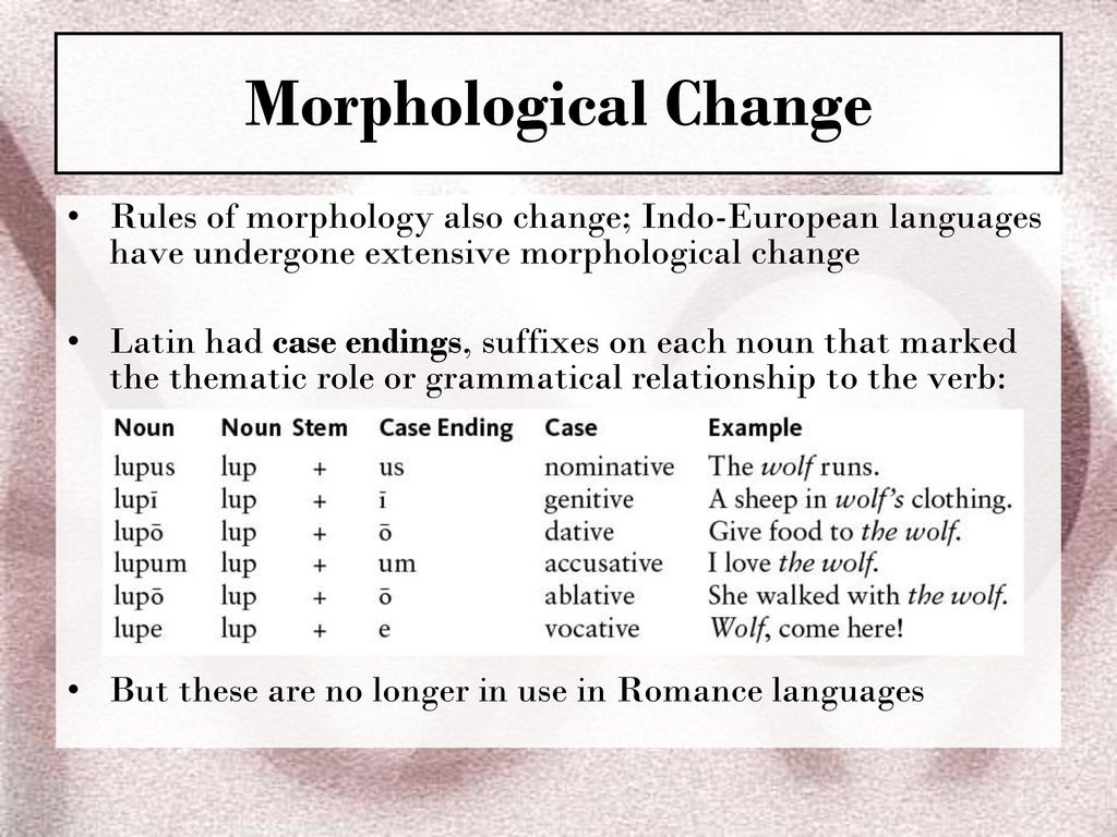 Ch 11 Language Change The Syllables Of Time Ppt Download