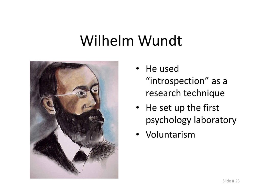 researchers in wilhelm wundts laboratory studied