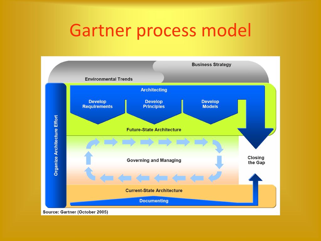 Gartner process model