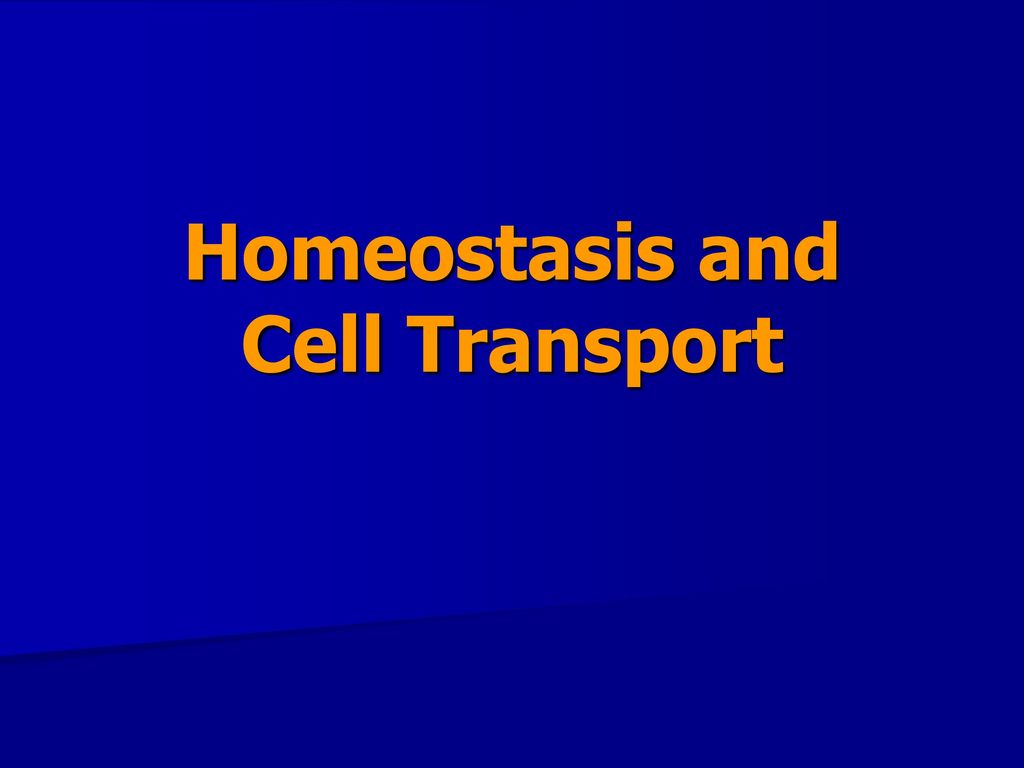 Homeostasis and Cell Transport - ppt download