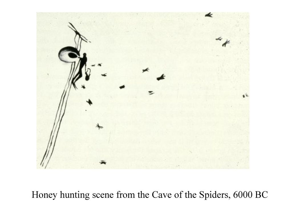 Honey hunting scene from the Cave of the Spiders, 6000 BC