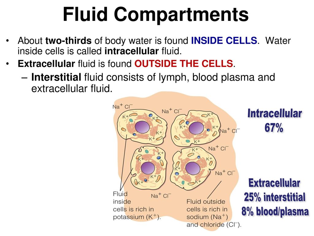 Water and The Electrolytes Module ppt download Biology Diagrams