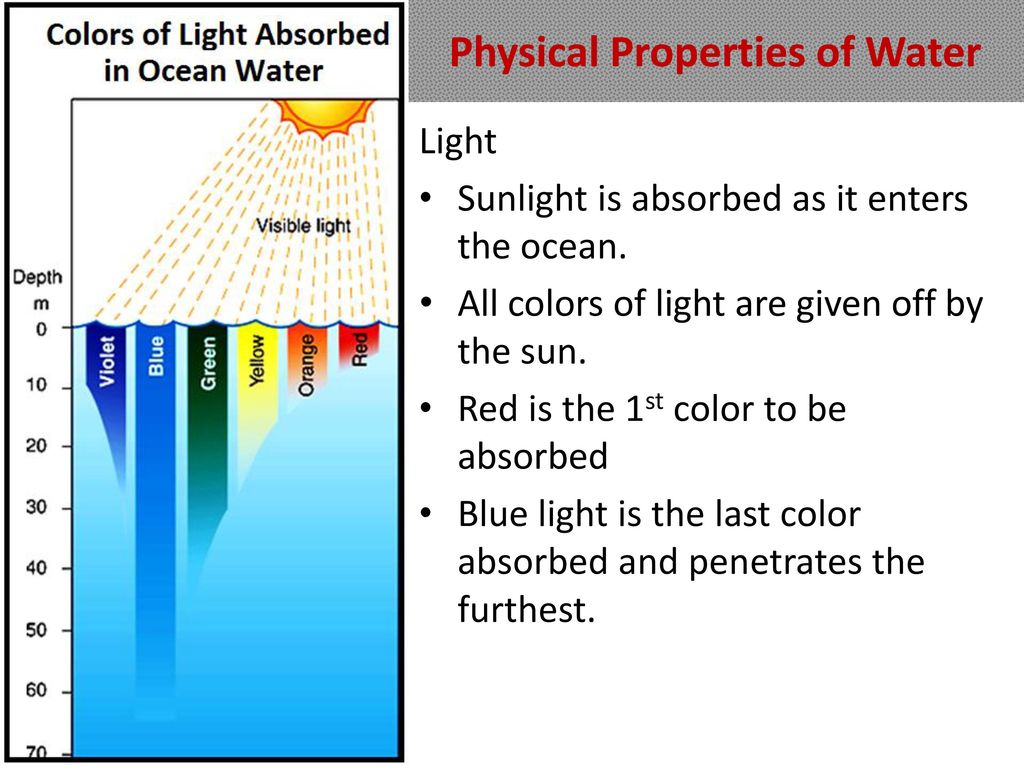 The Physical and Chemical Properties of the Ocean - ppt download