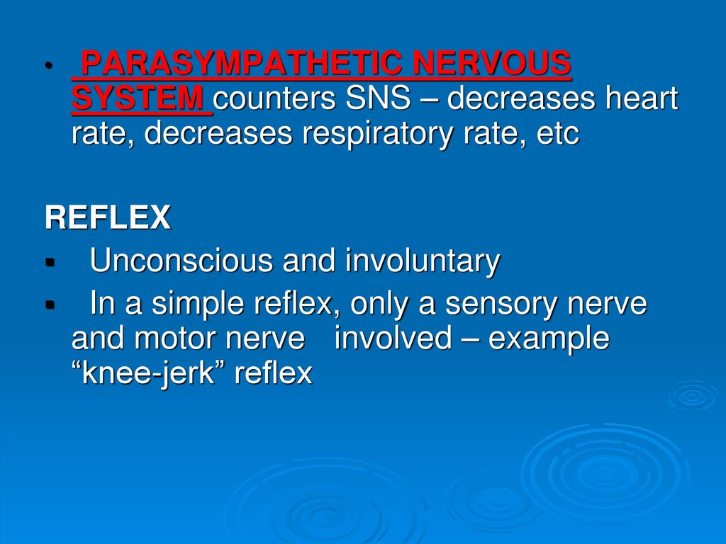 Parasympathetic Nervous system counters SNS – decreases heart rate, decreases respiratory rate, etc