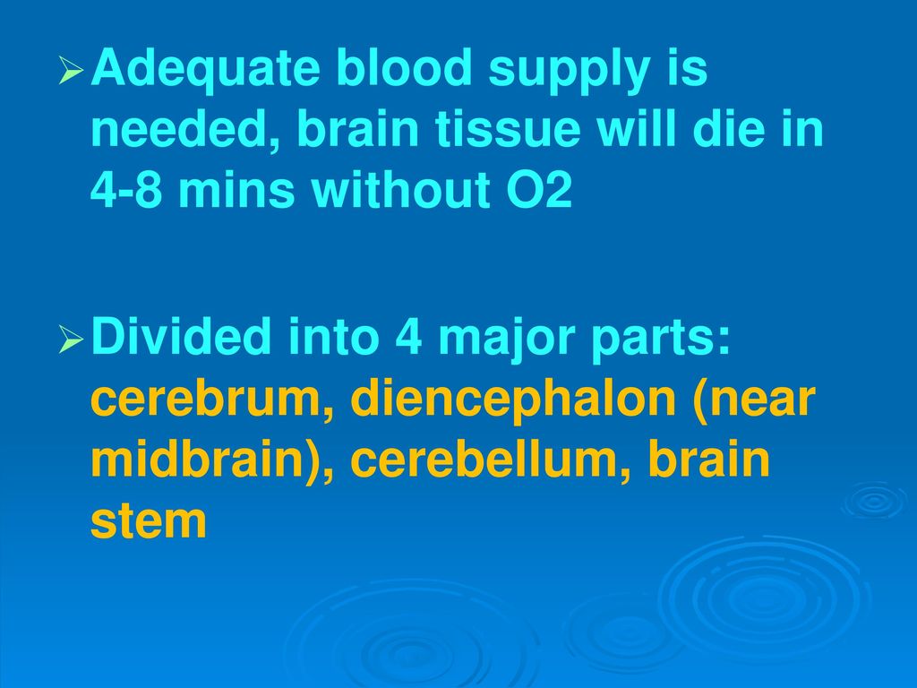 Adequate blood supply is needed, brain tissue will die in 4-8 mins without O2