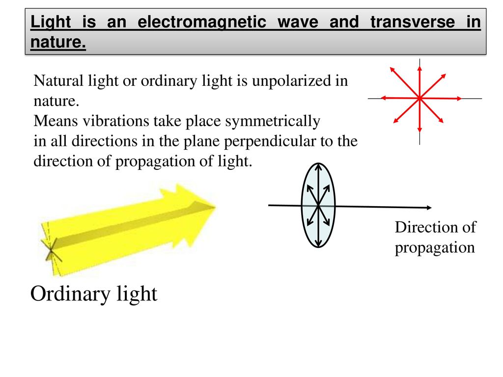 Light Light
