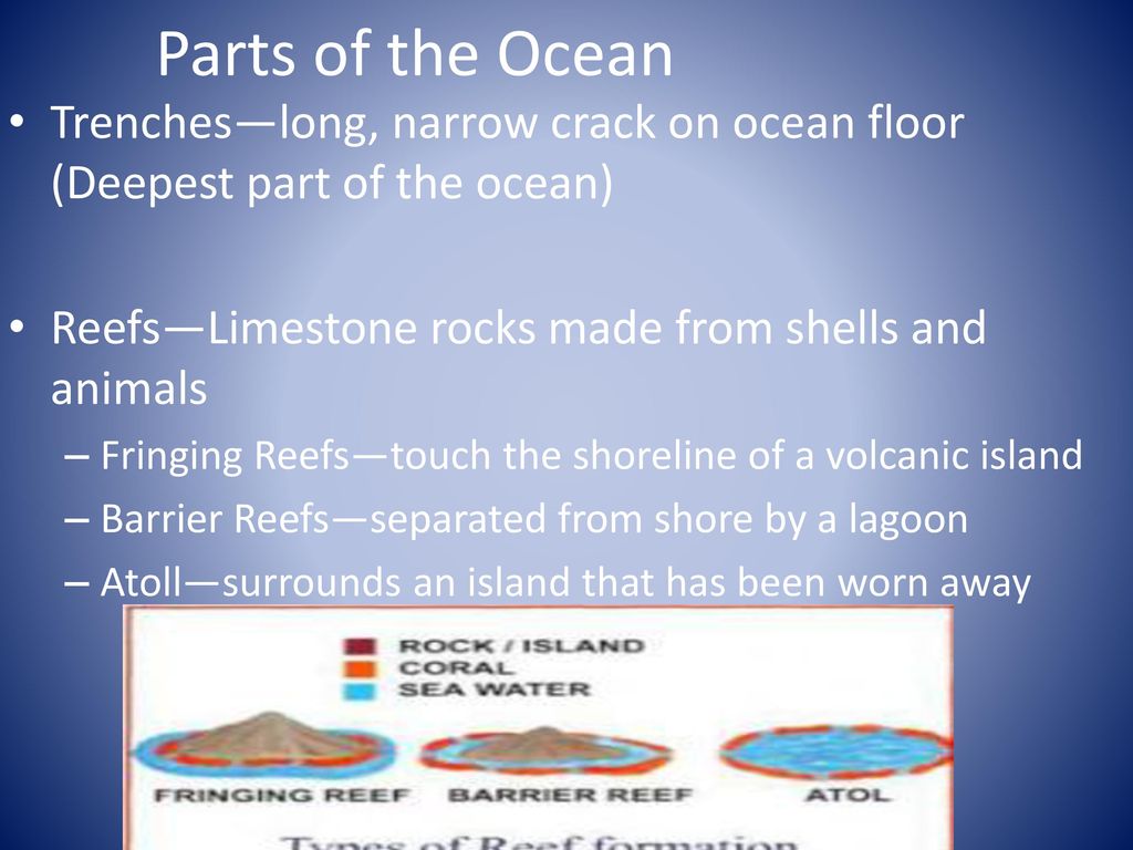 Exploring Our Oceans Ppt Download