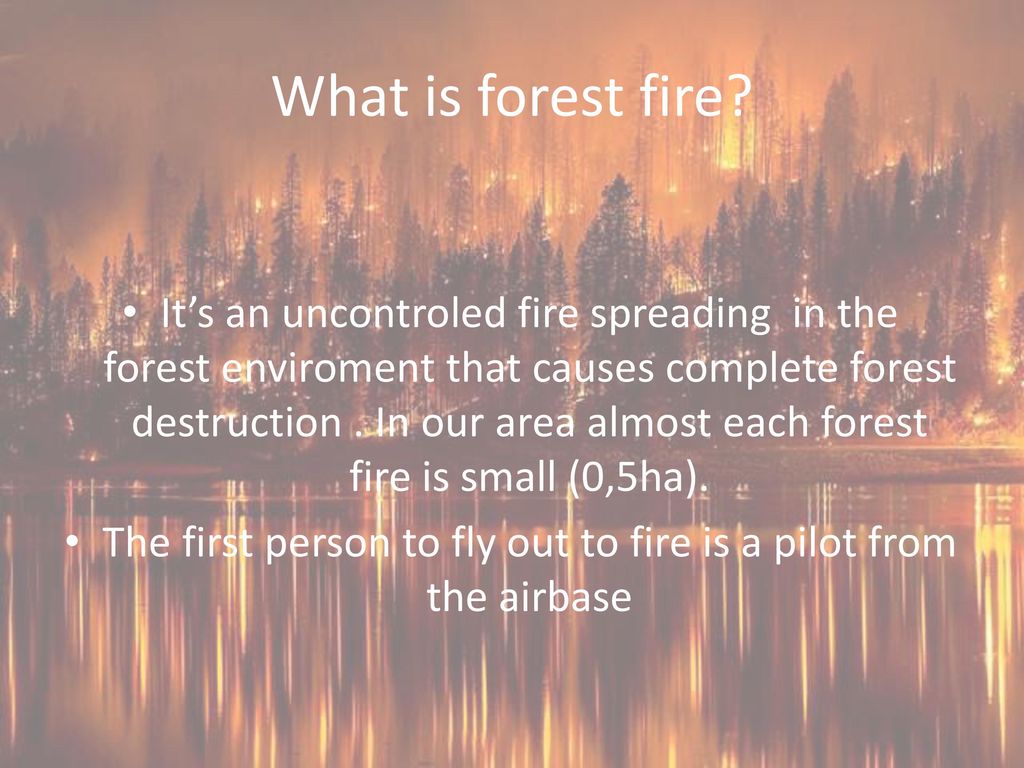 forestfireprotection-in-poland-and-europe-ppt-download