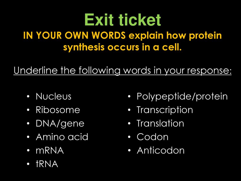 Exit ticket IN YOUR OWN WORDS explain how protein synthesis occurs in a cell. Underline the following words in your response:
