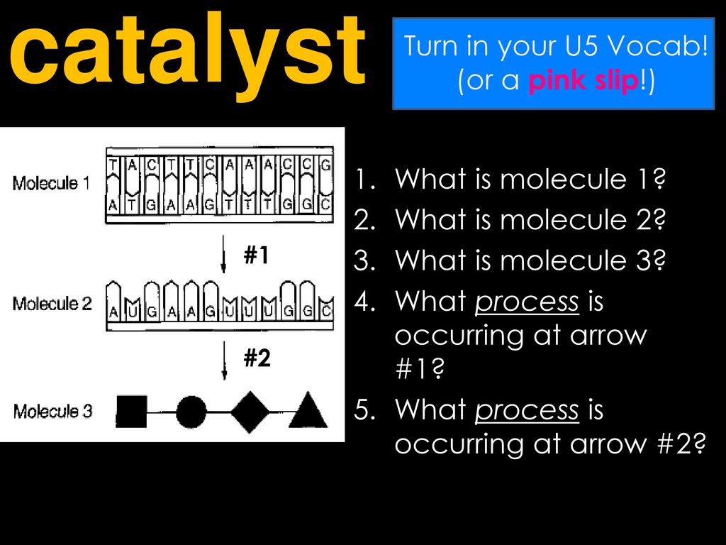 catalyst Turn in your U5 Vocab! (or a pink slip!) What is molecule 1