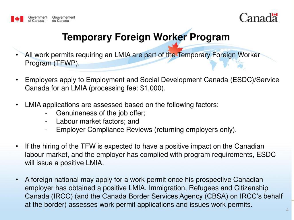 Working Temporarily in Canada - ppt download