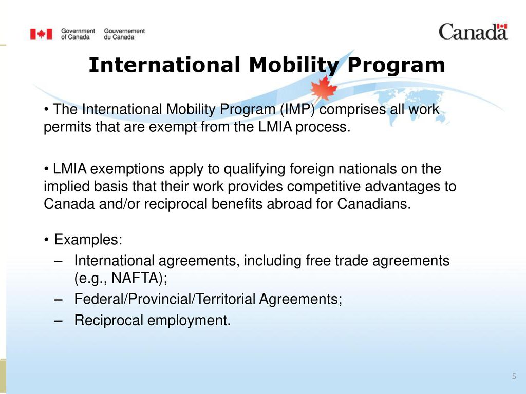 Working Temporarily in Canada - ppt download