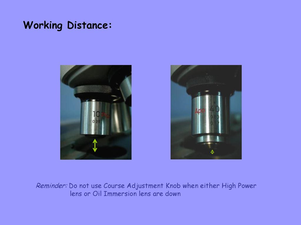 Working Distance: Reminder: Do not use Course Adjustment Knob when either High Power lens or Oil Immersion lens are down.