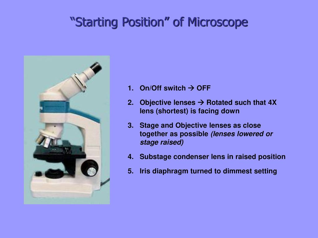 Starting Position of Microscope