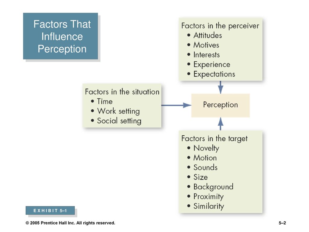 Perception перевод. Perception process. Person Perception. Social Pressure and Perception.