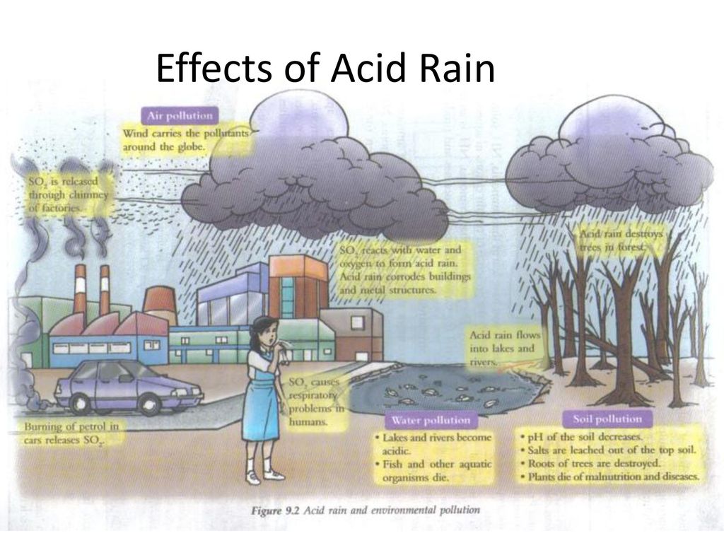 Текст по английскому 7 класс acid rain. Кислотные дожди плакат. Плакат на тему загрязнение воздуха. Решение проблемы кислотных дождей рисунок. Загрязнение воздуха кислотные дожди.