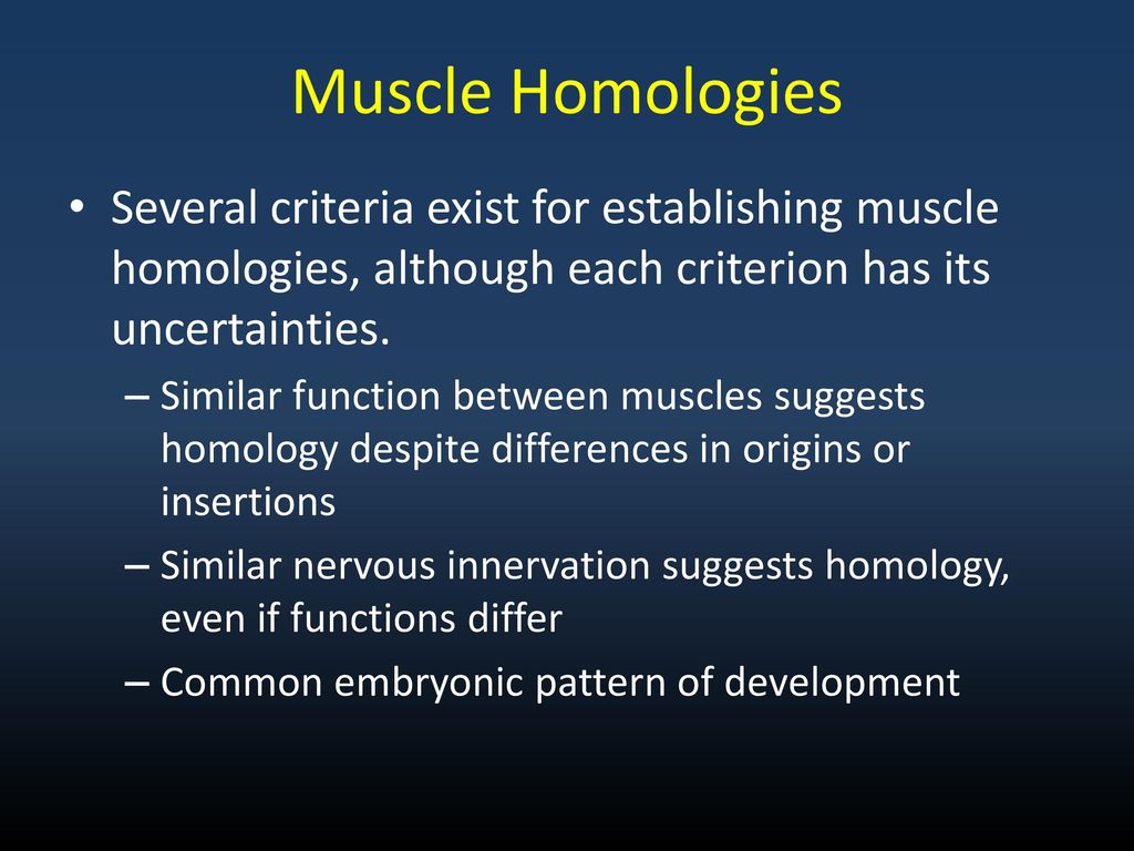 Muscle Homologies Several criteria exist for establishing muscle homologies, although each criterion has its uncertainties.
