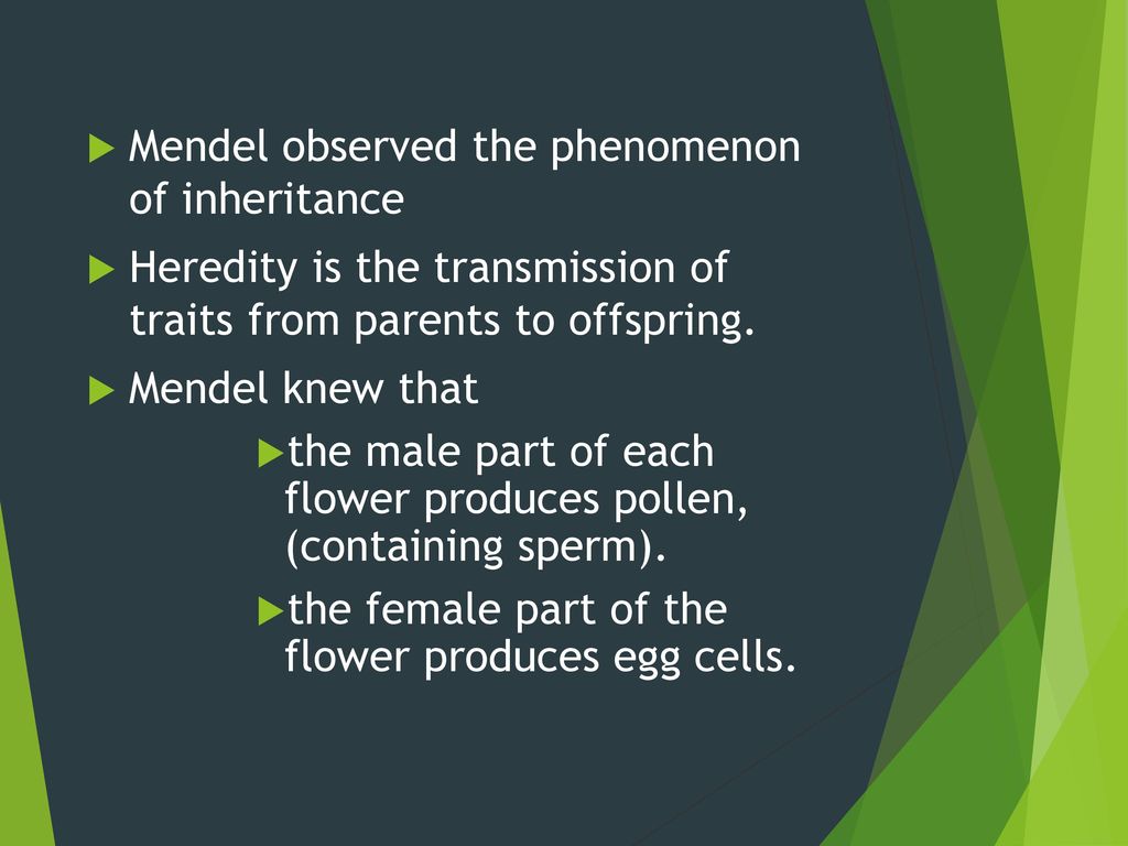 Mendel And Meiosis Basic Genetics Ppt Download
