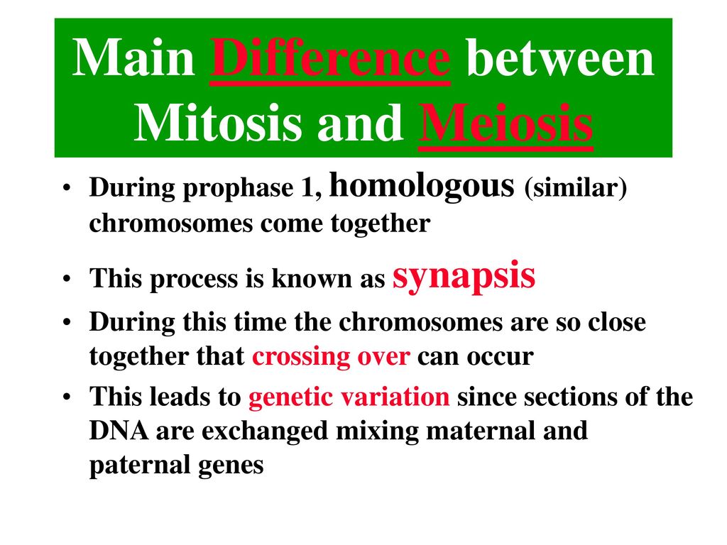 Main Difference between Mitosis and Meiosis