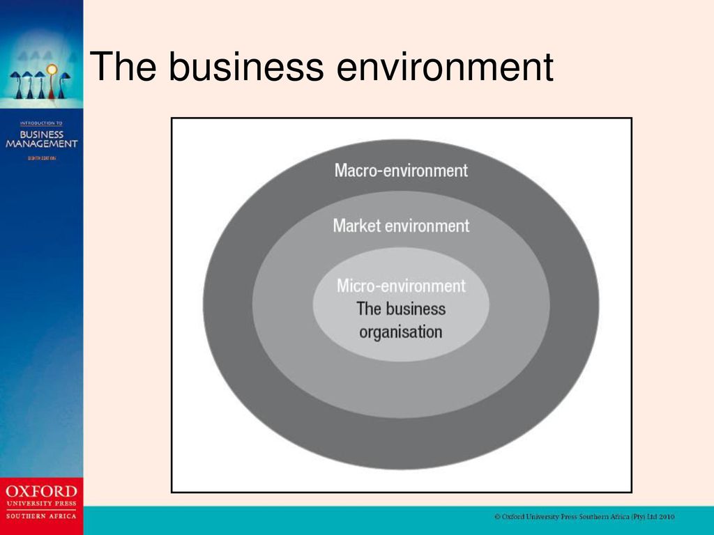 The business environment