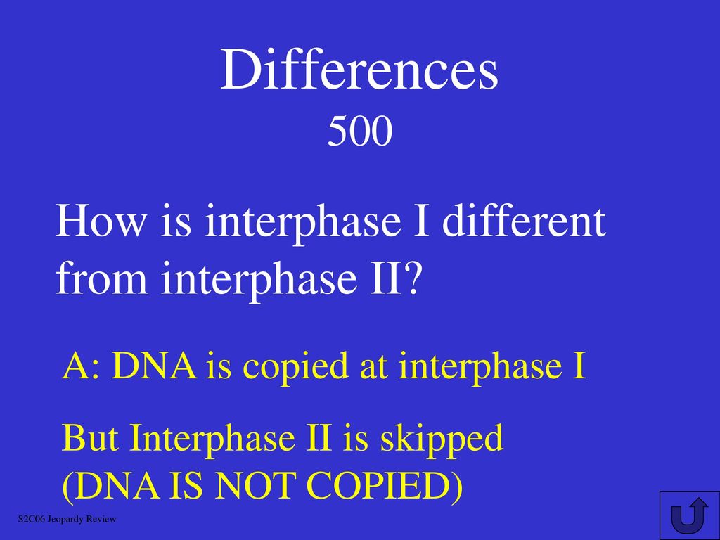 MEIOSIS JEOPARDY S2C06 Jeopardy Review. Biology Diagrams