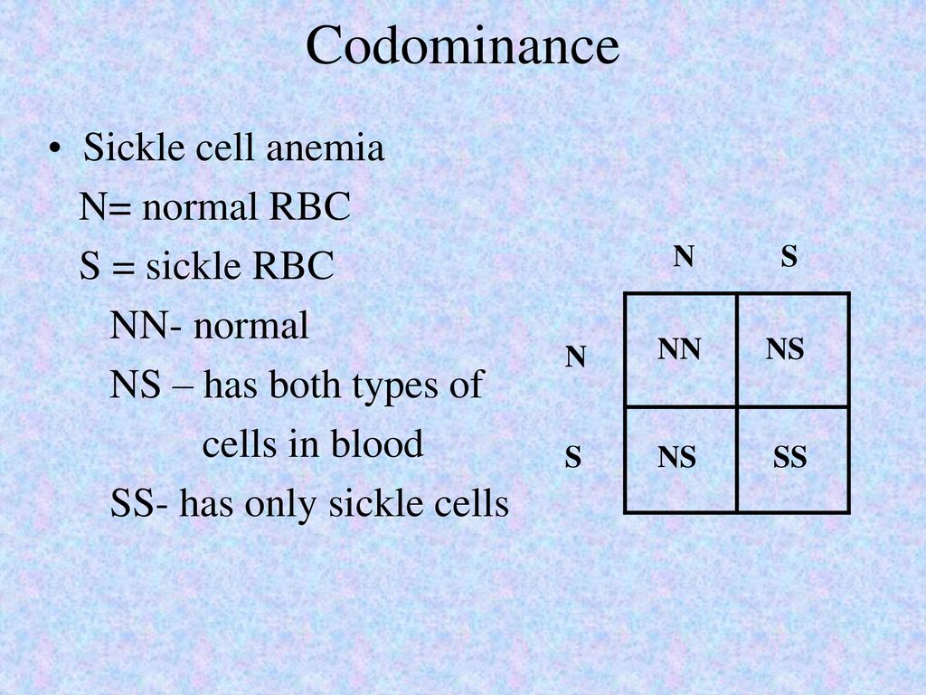 Types Of Dominance Punnett Squares Cont Pp Ppt Download