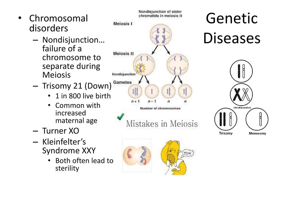 Genetic Diseases Autosomal Recessive Diseases Ppt Download