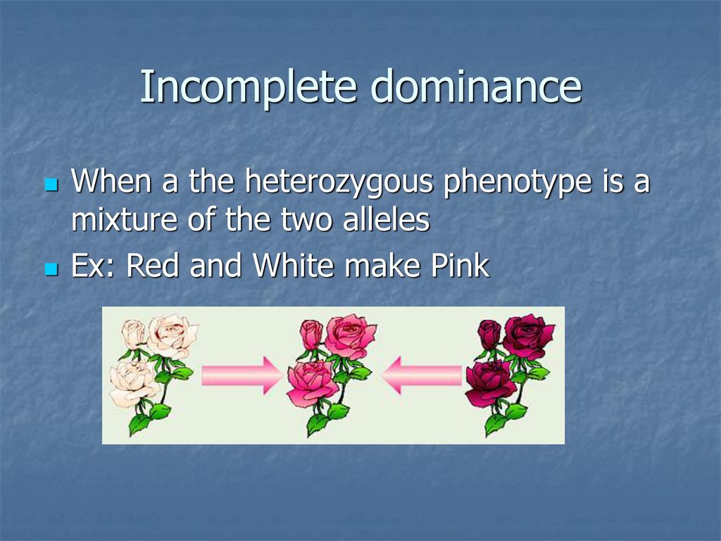Incomplete dominance When a the heterozygous phenotype is a mixture of the two alleles.
