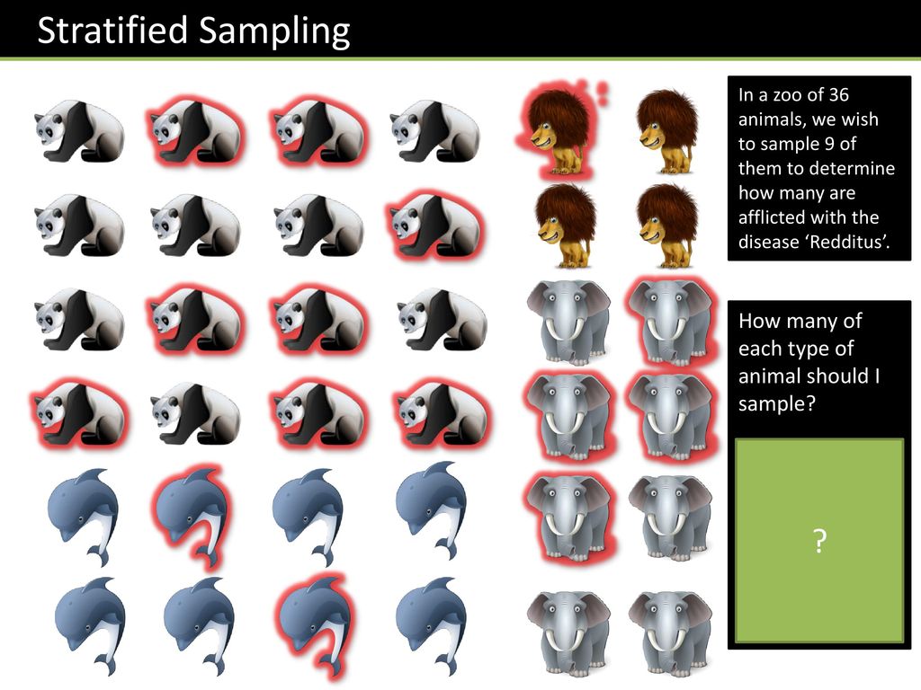 Stratified Sampling How many of each type of animal should I sample