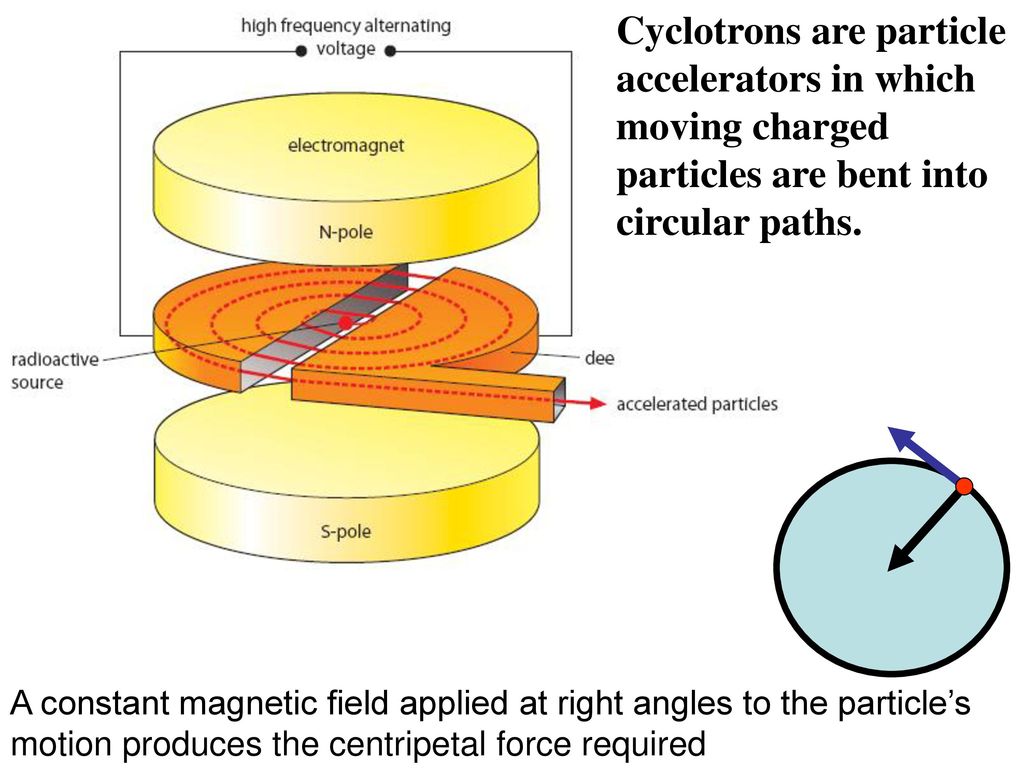 Cyclotrons are particle accelerators in which moving charged particles are bent into circular paths.