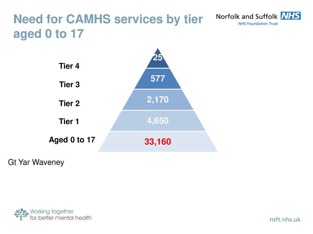 Camhs What Are They Commissioned To Do Is It Enough And How Do