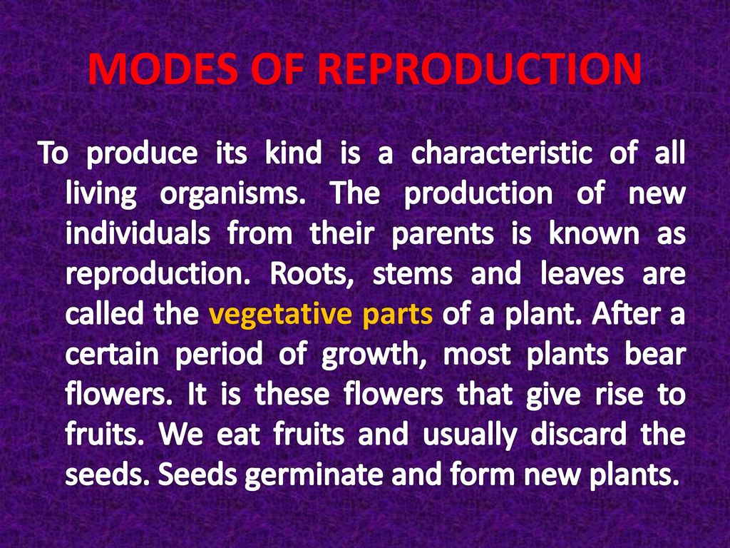 Reproduction In Plants Ppt Download Reproduction In Plants Ppt Download