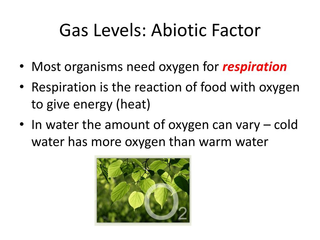 Gas Levels: Abiotic Factor