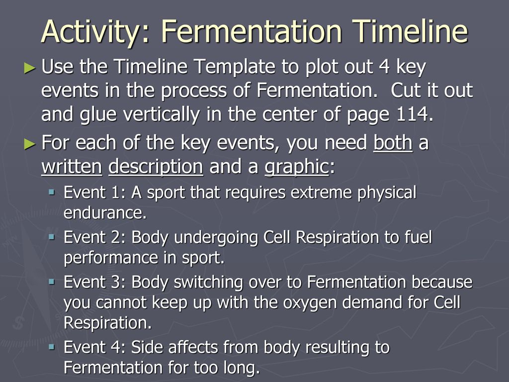 Activity: Fermentation Timeline