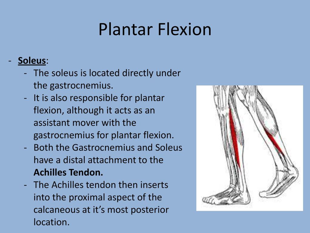 achilles pain with plantar flexion