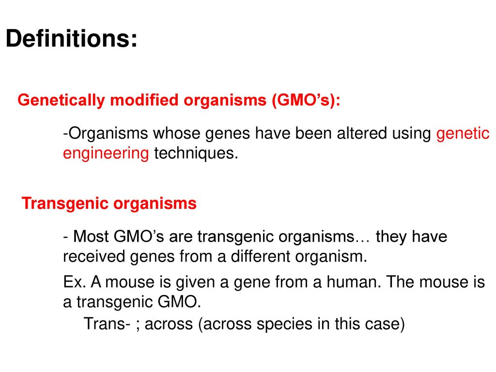 Transgenic Organisms. - ppt download