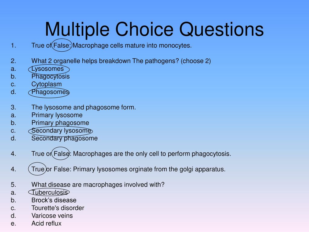False список. Multiple choice questions. Малтипл Чойс. Multiple choice примеры. Multiple choice questions example.
